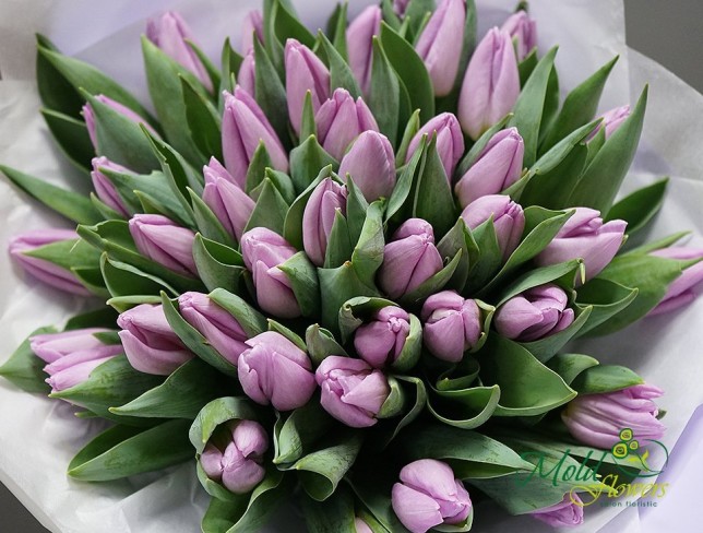 Lavender-colored tulip Dutch (Made to order,10 day) photo